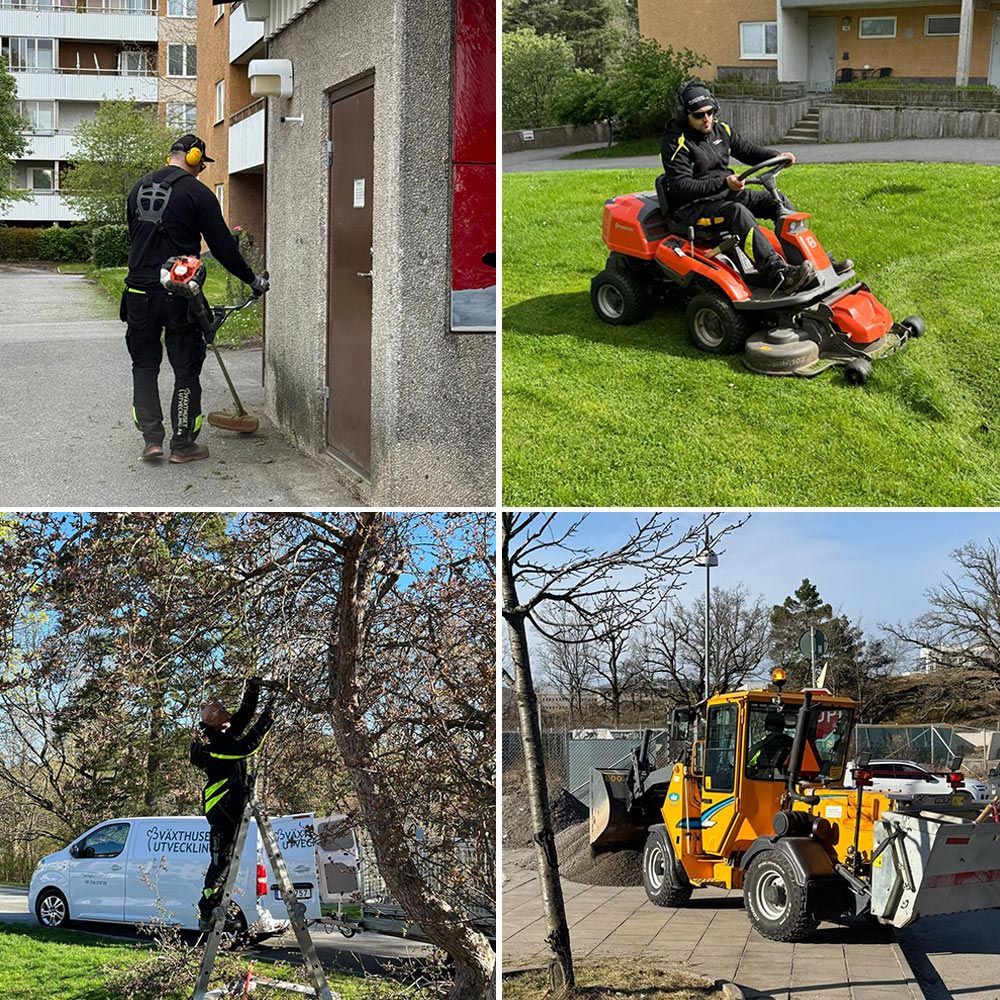 Galleri av fyra bilder från deras verksamhet